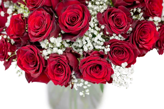 Bouquet of red roses